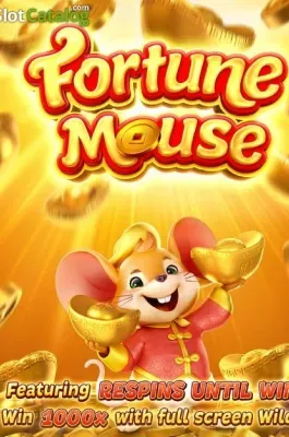 Fortune Mousse en TNT963 COM